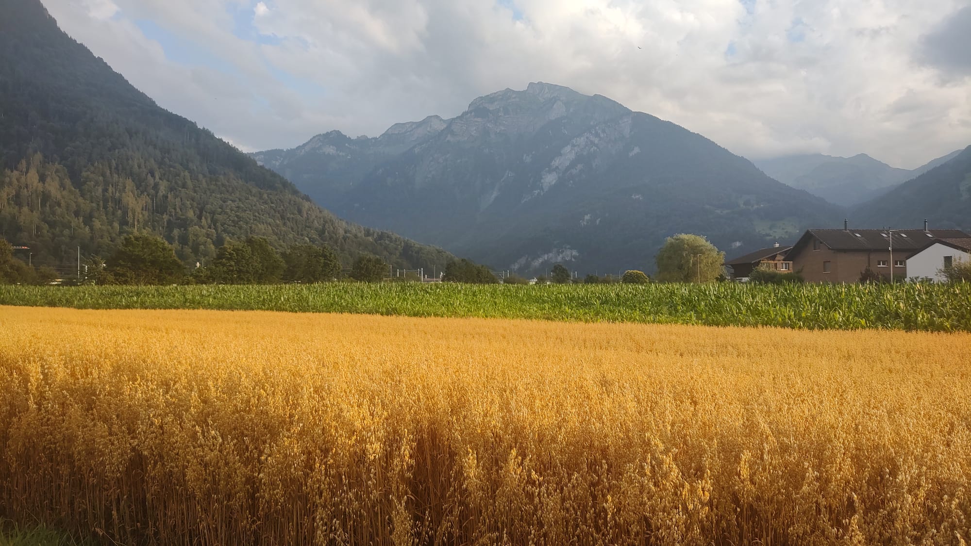 Exploring the world...